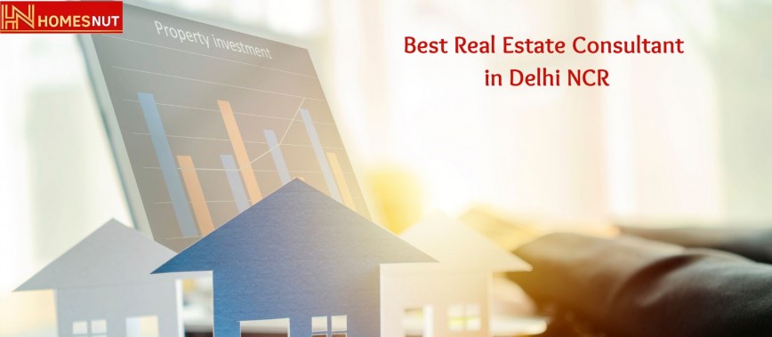 Best Real Estate Consultant in Delhi NCR